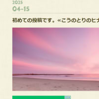 Gooブログサービス終了につき・・・続きです