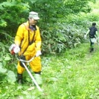 草刈り作業 ご苦労さまでした