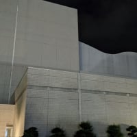 今日も今日とて