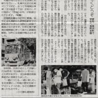（新版）お魚と山と琵琶湖オオナマズの日々