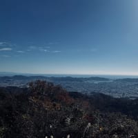 Rapha プロチームシューズ。 - 自転車ひとり旅☆