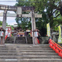 半夏生