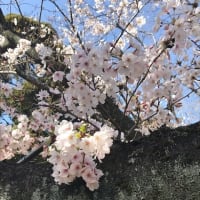 ボケをかますのは漫才 現代日本語百科 けふも お元気ですか ボケをかますのは漫才 現代日本語百科 けふも お元気ですか