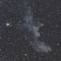 24/01/11「令和６年　撮り始めの陣」part.7  番外編　構図大失敗の「IC2118（反射星雲）の魔女の横顔星雲…。