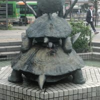 羽根亀