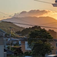 日巫女の言葉　　　　膵臓のエコー検査でした