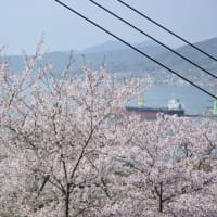 AIも花盛り