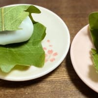 嵐山へ