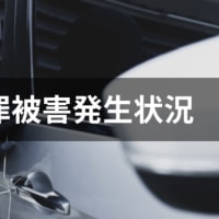 【八王子市内の犯罪被害状況】