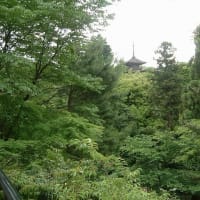 06/24奈良京都への旅-12（三十三間堂,清水寺、）