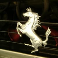 1985MODEL Ferrari 308GTB quattrovalvore