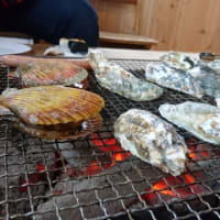 体は正直。