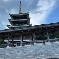 孫の子守り・午後は家内も一緒に花の桔梗寺・遍照寺・但馬大仏長楽寺