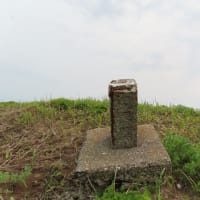 目的地に　願い叶う　海岸沿いに熊いたいた