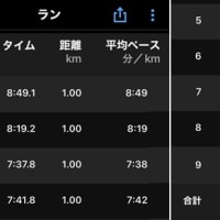 朝ラン８ｋｍ、スイム１ｋｍ & HOKA RINCON4