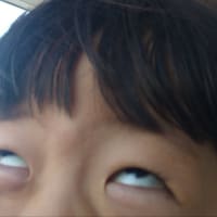 息子ちゃん7歳