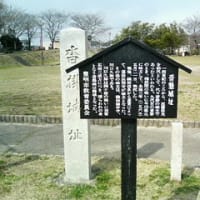 「沓掛城」城撮り戦果