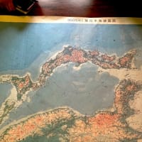 くすりのとやま