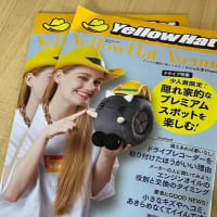 Yellow Hatさんのフリーペーパーに