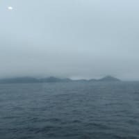 御船印の旅／関釜フェリー