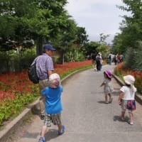 娘家族と「神戸どうぶつ王国」へ　　②