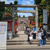昨日はお祭り