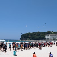 フィニッシュ白浜大会9