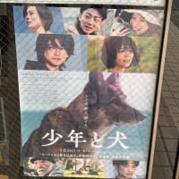 少年と犬を観てきました