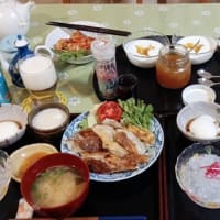 エゴノキの花