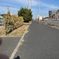 第一期埋立護岸問題　