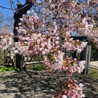 室蘭八幡宮