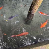 お詣り