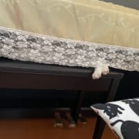すごい、やっとここまで！