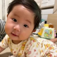 コン爺　グーブログ500日❣️