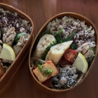 ベランダ菜園　ハダニが減って元気に・海老しんじょ弁当２人分