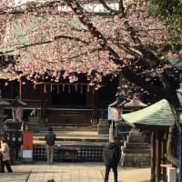 上野 五條天神社