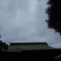 2025年7月13日～16日 東京のお盆…台風がやってくる～ (￣▽￣;)!!　クリーム玄米ブラン♪