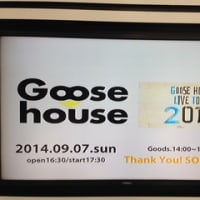 ９／７Goosehouse LIVE TOUR 2014大阪なんばHatch行ってきました。（ライブレポ）
