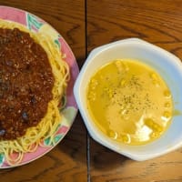 先週の夕食は　こんな感じ