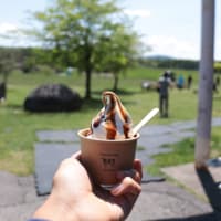 好き嫌い