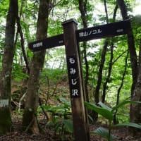 夏の櫛形山（山梨県百名山）