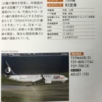 山東航空 EXPO2014. 記念塗装機がまだ運航している❣️B-5856. 初めてです。