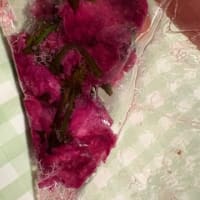 桜の塩漬け作ってみた