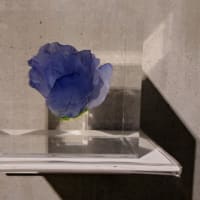 安藤忠雄展　青春　その８