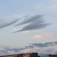 来年のこと