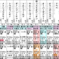 【メリタテス】チャンスは十分あるでしょう！ 6/9函館12R・出走確定