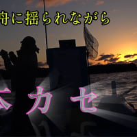 絶景の中、ひとりカセに揺られ青物を釣る：Nobody Around - Solo Fishing in Kase, Kushimoto