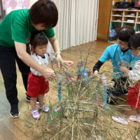 つぼみ（はな）組の６月♡