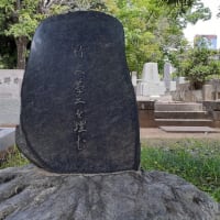 梅雨の晴れ間の雑司ヶ谷霊園