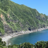 藍ケ江の海✨7月1日(火)☀️     朝、海は快晴☀️  青ヶ島見えています🏝️
